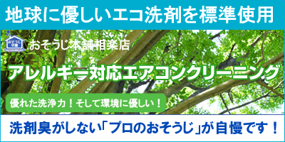 �G�R���ӎ�����N���[�j���O