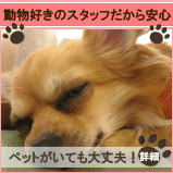 �y�b�g�����Ă����v